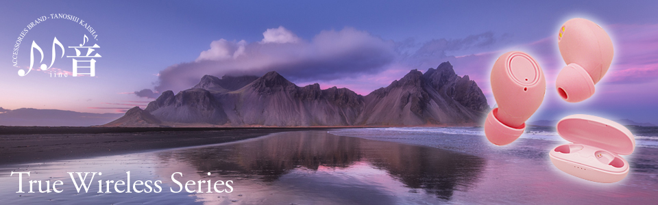 True Wireless Series